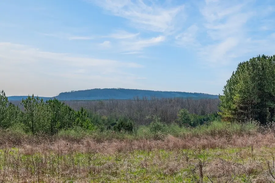 261AC Rocky River Rd, Spencer, TN 38585 - #2