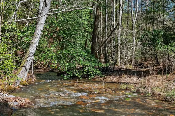 573AC Daus Mountain Rd, Palmer, TN 38365