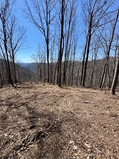 10 AC Jimmy Reneau Rd, Celina, TN 38551 - #2