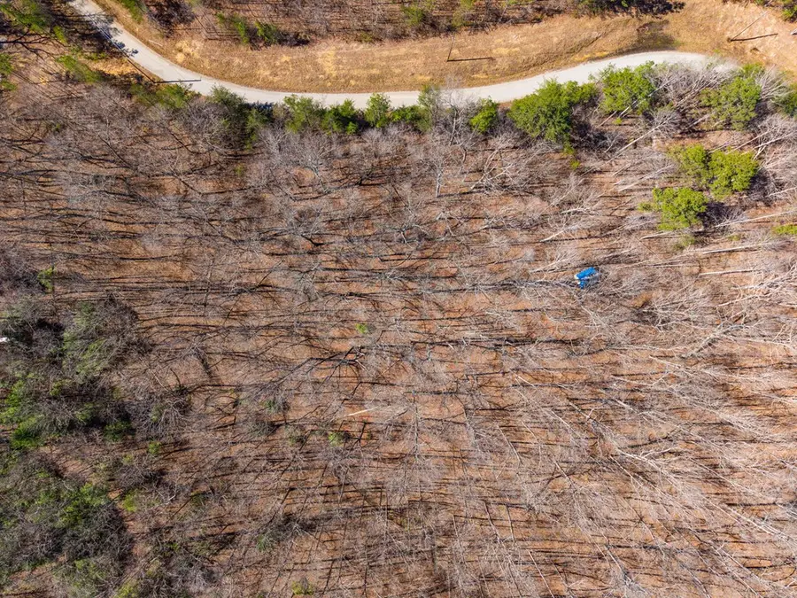 Lot 30 Old Baker Lane, Crawford, TN 38554 - #3