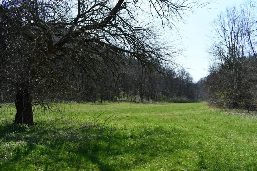 101.3ac Dry Mill Creek, Hilham, TN 38568 - #2