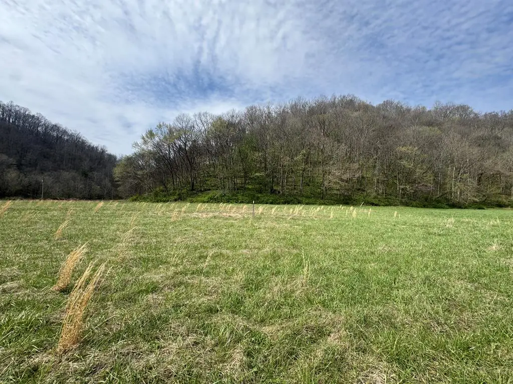 6.34Ac Pine Lick Rd, Whitleyville, TN 38588 - #1