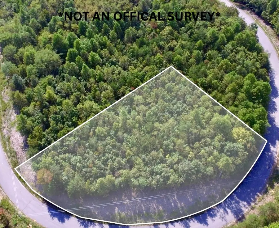 Lot 31 Overlook Dr, Spencer, TN 38585 - #2