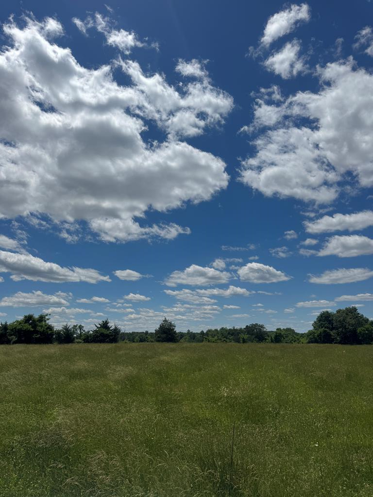 Tract 4 Old Kentucky Rd , Hwy 528, Albany, KY 42602 - #1