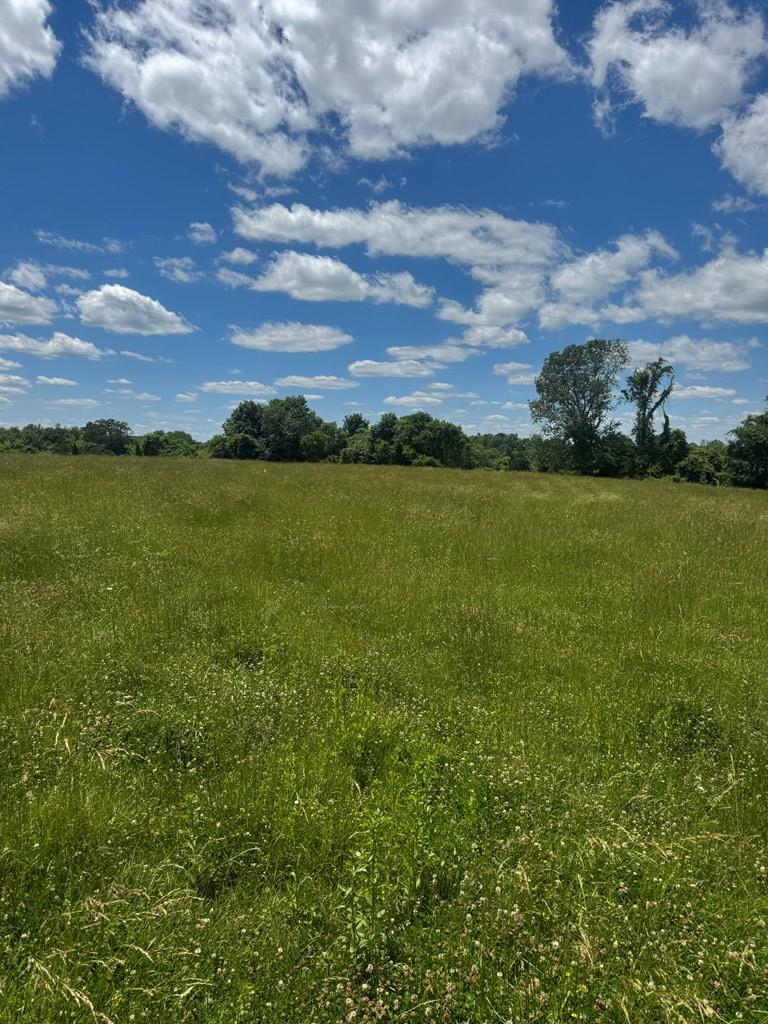 Tract 4 Old Kentucky Rd , Hwy 528, Albany, KY 42602 - #2