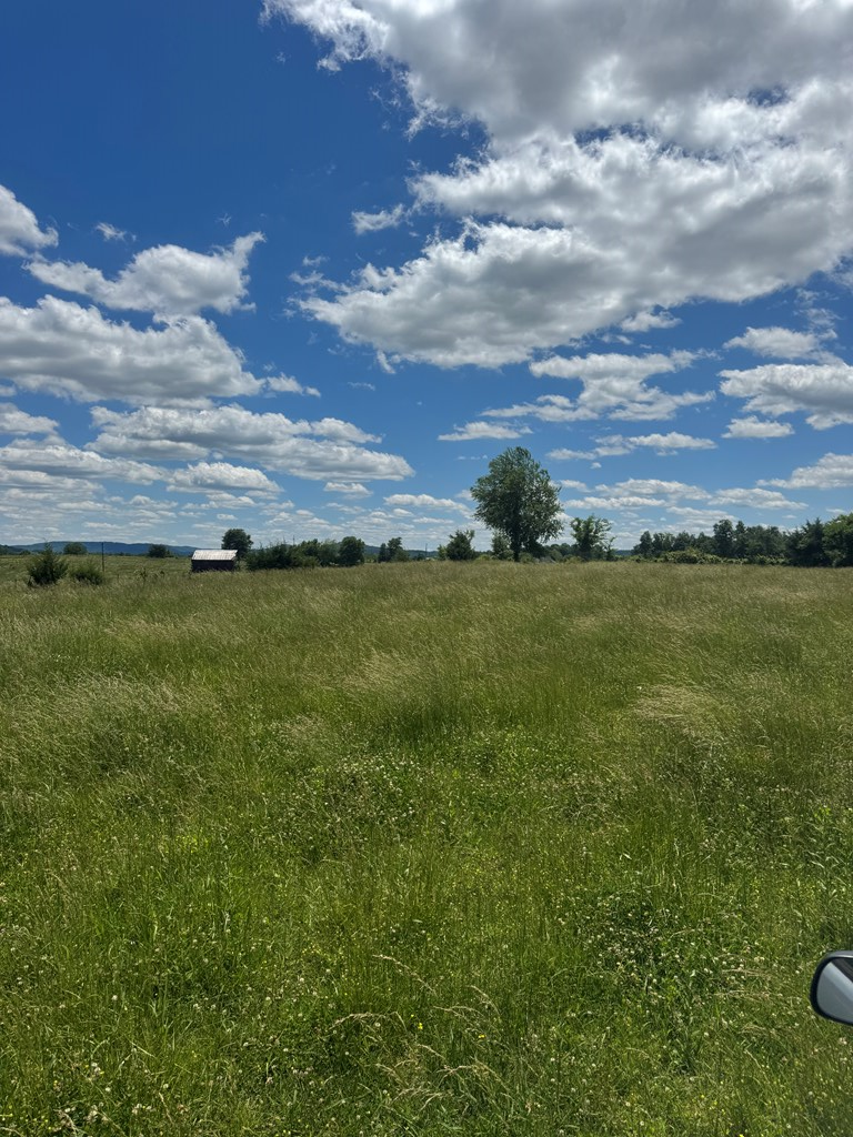 Tract 4 Old Kentucky Rd , Hwy 528, Albany, KY 42602 - #3