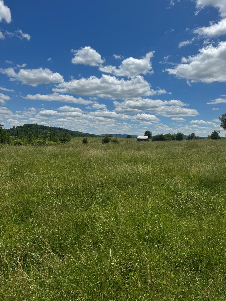 Tract 5 Old Kentucky Road , Hwy 528, Albany, KY 42602 - #1