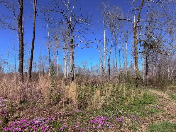 0 Liberty Rd, SPARTA, TN 38583