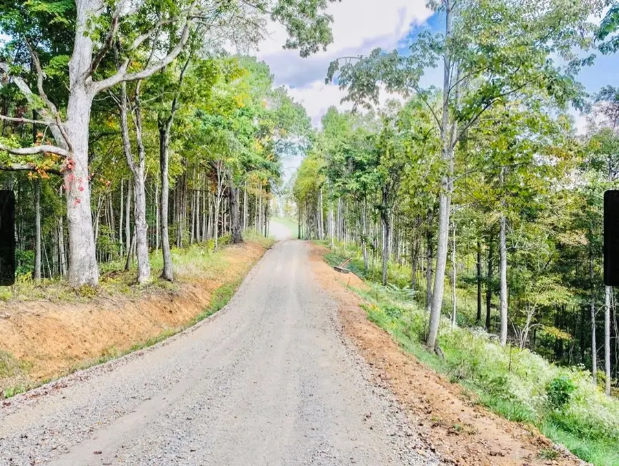 LOT 51 Summerfield, Butler, TN 37640 - #3