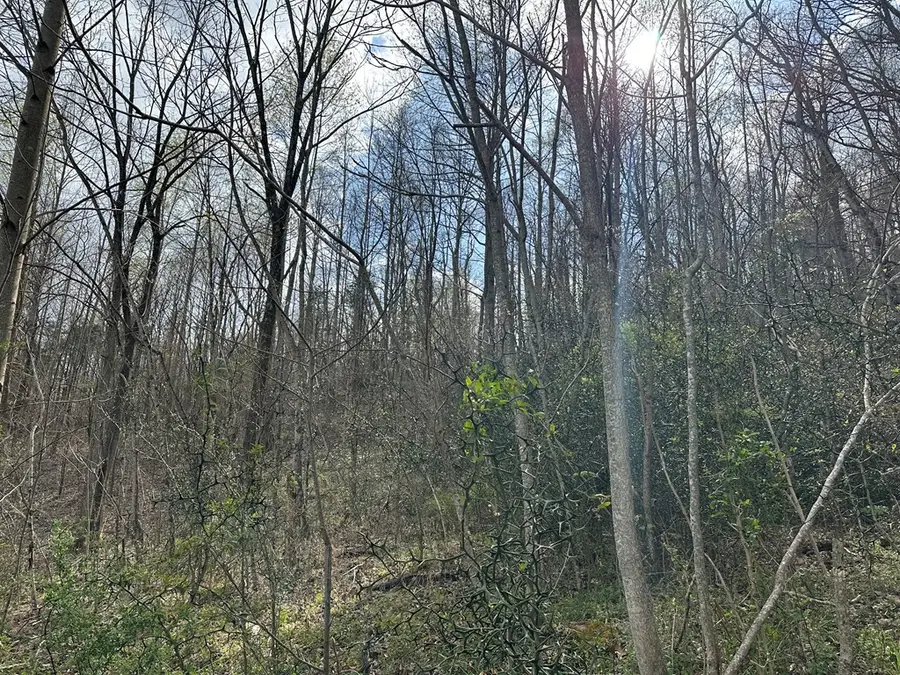 Address Withheld By Seller, Crawford, TN 38554 - #2