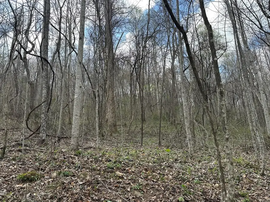 Address Withheld By Seller, Crawford, TN 38554 - #3