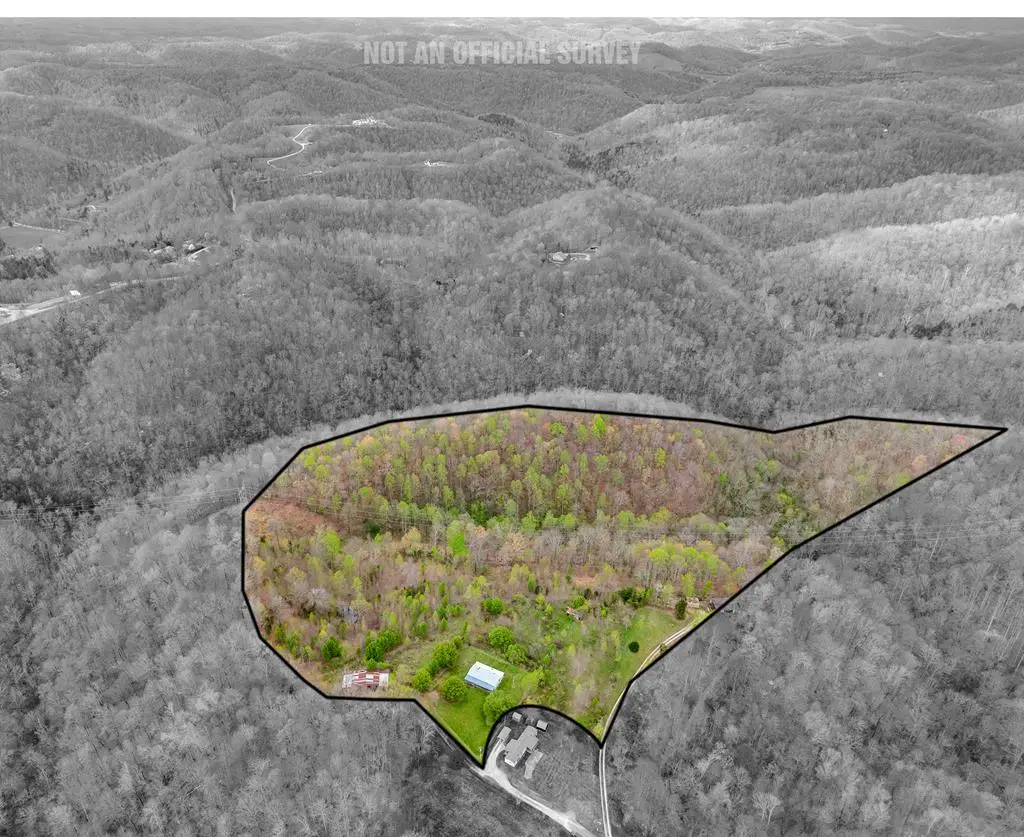 1105 Mathis Ridge Road, Baxter, TN 38544 - #1