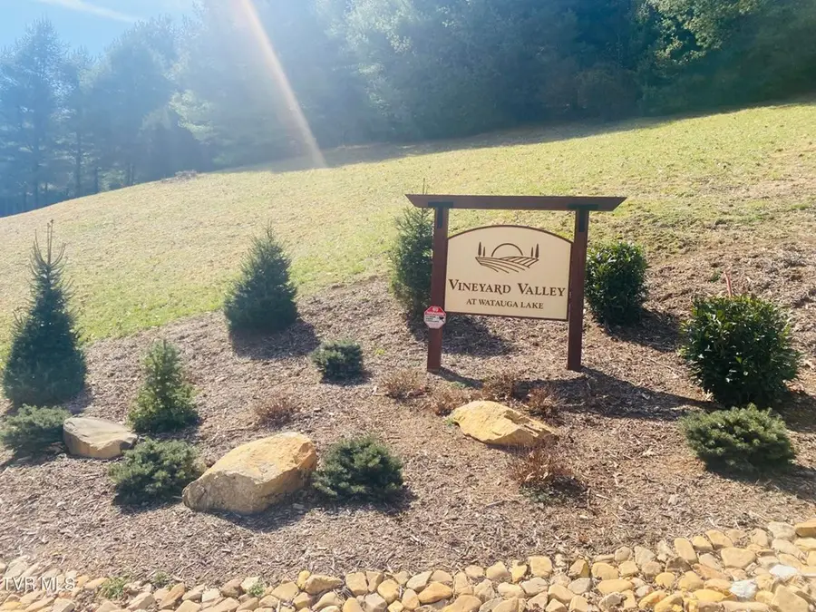 lot 20 Vineyard Valley Drive, Butler, TN 37640 - #2