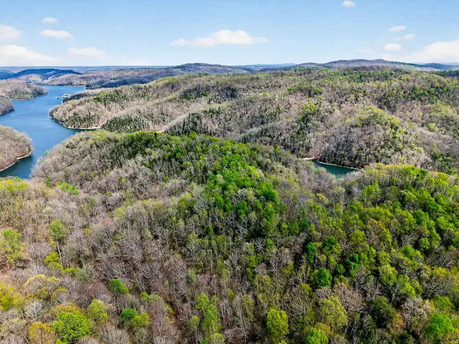 61 AC Hidden Cove Ln, Allons, TN 38541 - #3