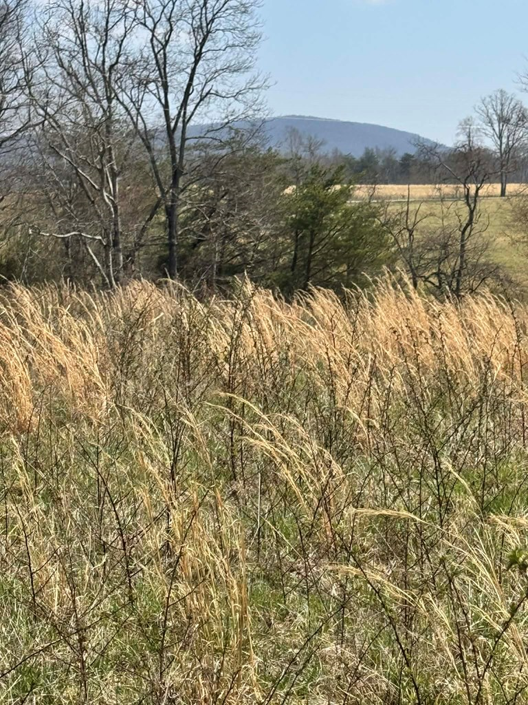 Address Withheld By Seller, Crab Orchard, TN 37723 - #3