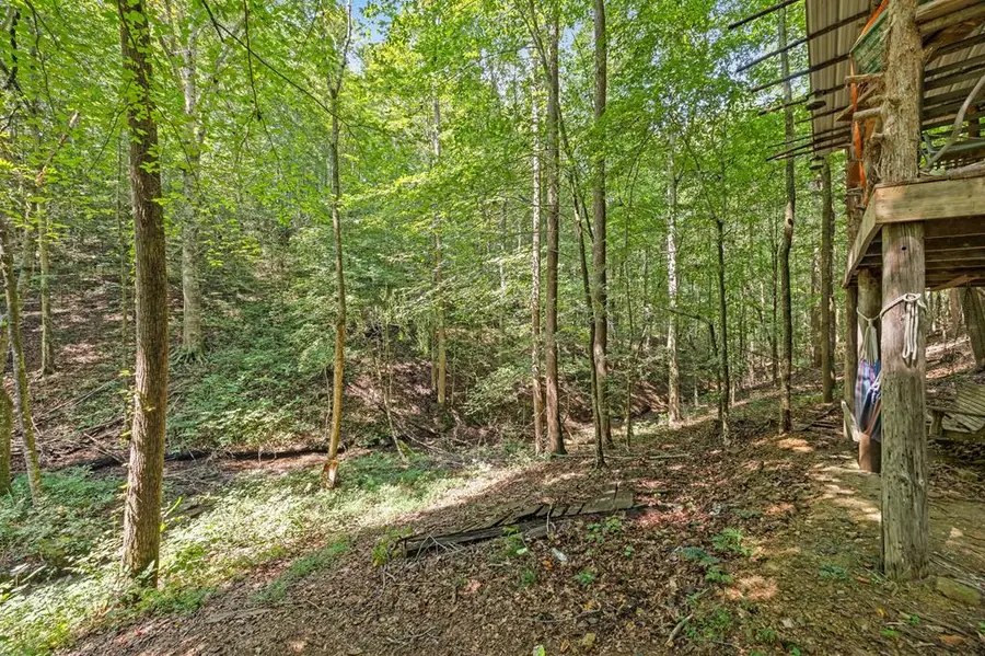 225 Richardson Ln., Gainesboro, TN 38562 - #3