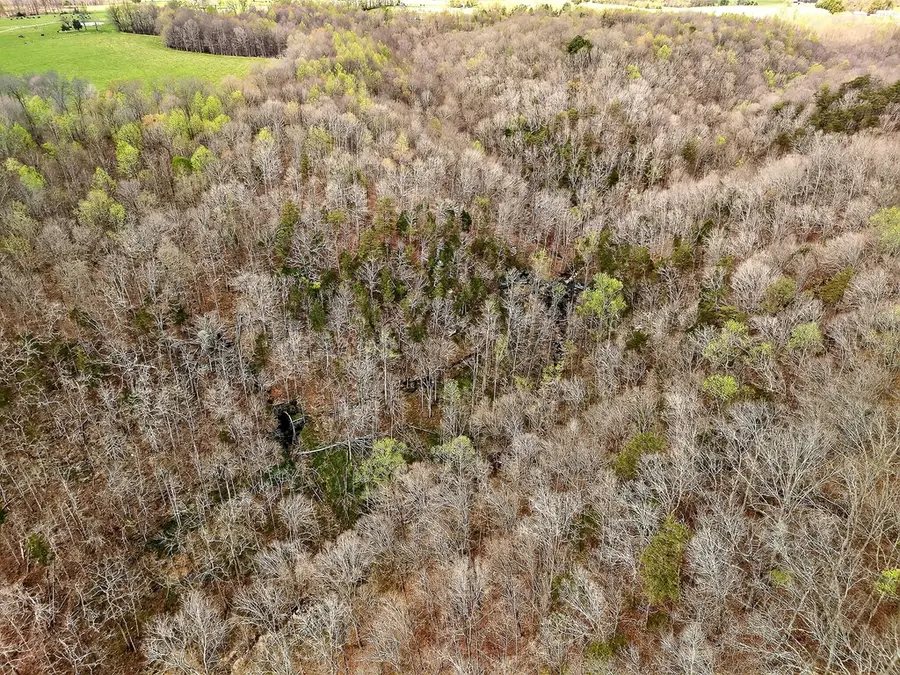 Address Withheld By Seller, Cookeville, TN 38506 - #2