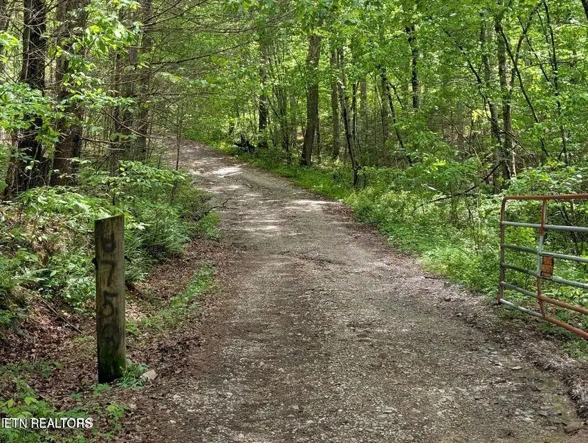 158 Jess Ridge Rd, Lancing, TN 37770 - #2