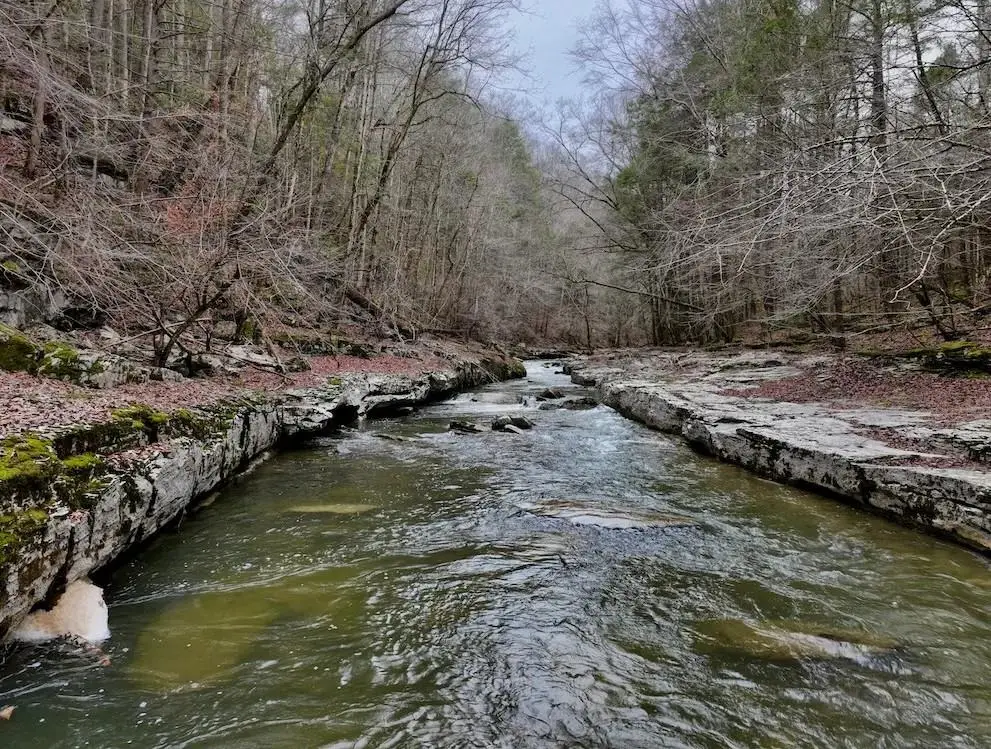 7.08ac Hollow Creek Lane, Clarkrange, TN 38553 - #1