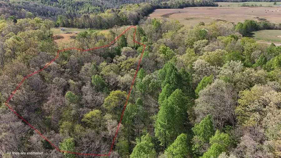 7.08ac Hollow Creek Lane, Clarkrange, TN 38553 - #3