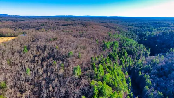 Tract 2 Ervin Brown Road, Sunbright, TN 37872