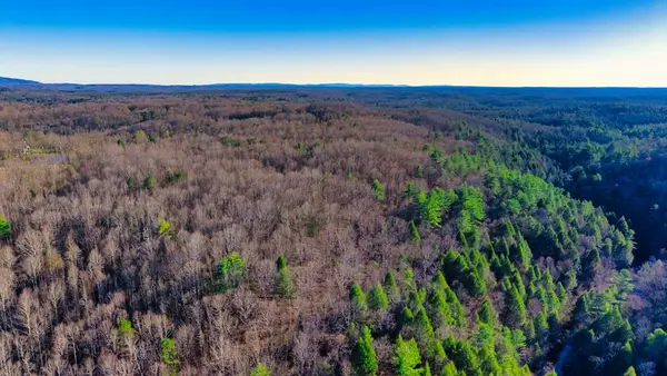Tract 4 Ervin Brown Road, Sunbright, TN 37872