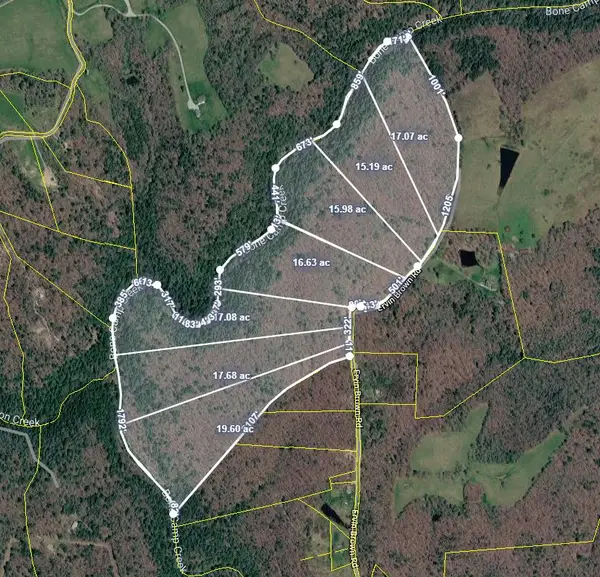 Tract 5 Ervin Brown Road, Sunbright, TN 37872