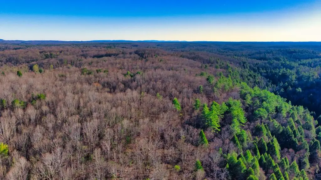 Tract 6 Ervin Brown Road, Sunbright, TN 37872 - #1