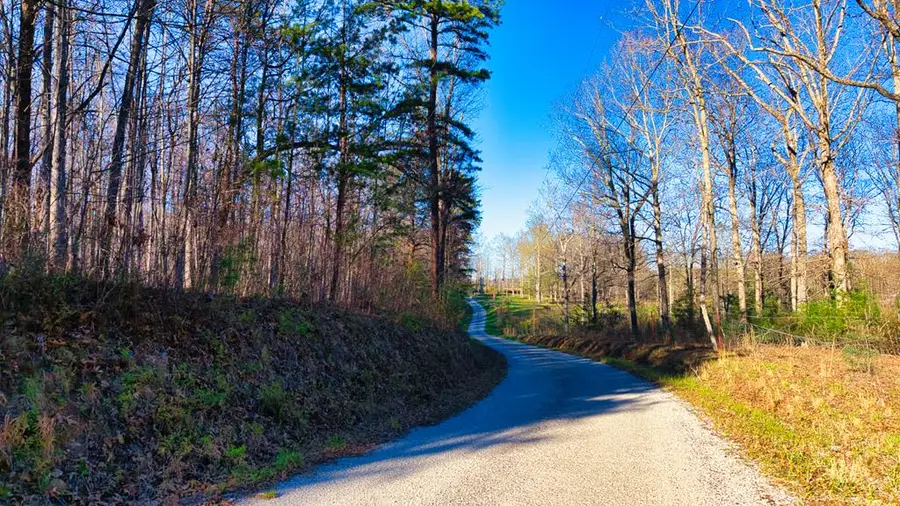 Tract 6 Ervin Brown Road, Sunbright, TN 37872 - #3