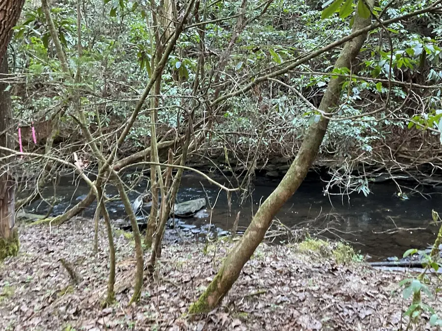 Tract 2 Pine Breeze, Monterey, TN 38574 - #2