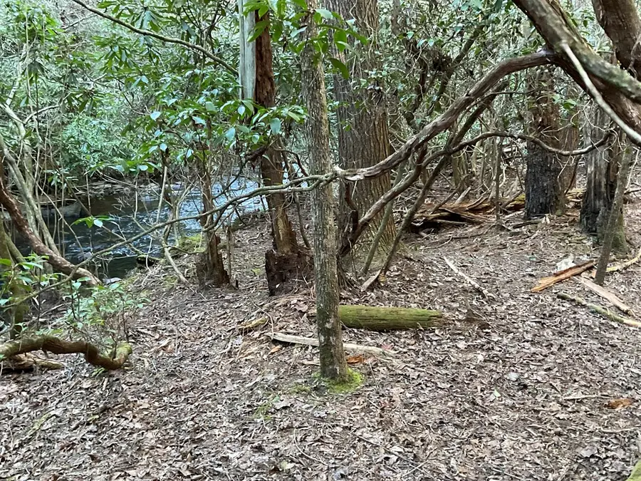 Tract 2 Pine Breeze, Monterey, TN 38574 - #3