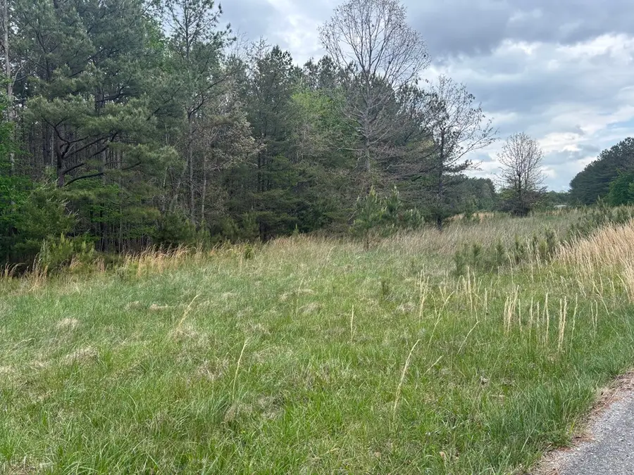 Lot 53 Pioneer Lane, Spencer, TN 38585 - #3
