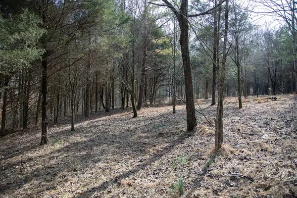 5.40 Ac. Tulip Ln, COOKEVILLE, TN 38501