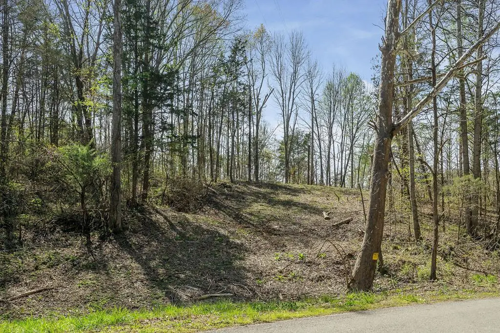 00 Big Springs Farm - Tracts 19&20 18.46 Acres, Monroe, TN 38573 - #1