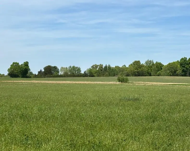 5 ac Ramsey Stretch Rd, Monroe, TN 38573 - #1