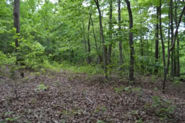 Lot 6 Forest Trails Lane, Celina, TN 38551 - #1