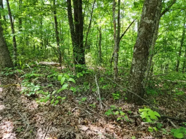 Lot 6 Forest Trails Lane, Celina, TN 38551 - #2