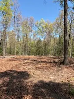 731 Remington Rd, Jamestown, TN 38556 - #1