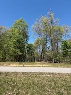 731 Remington Rd, Jamestown, TN 38556 - #3