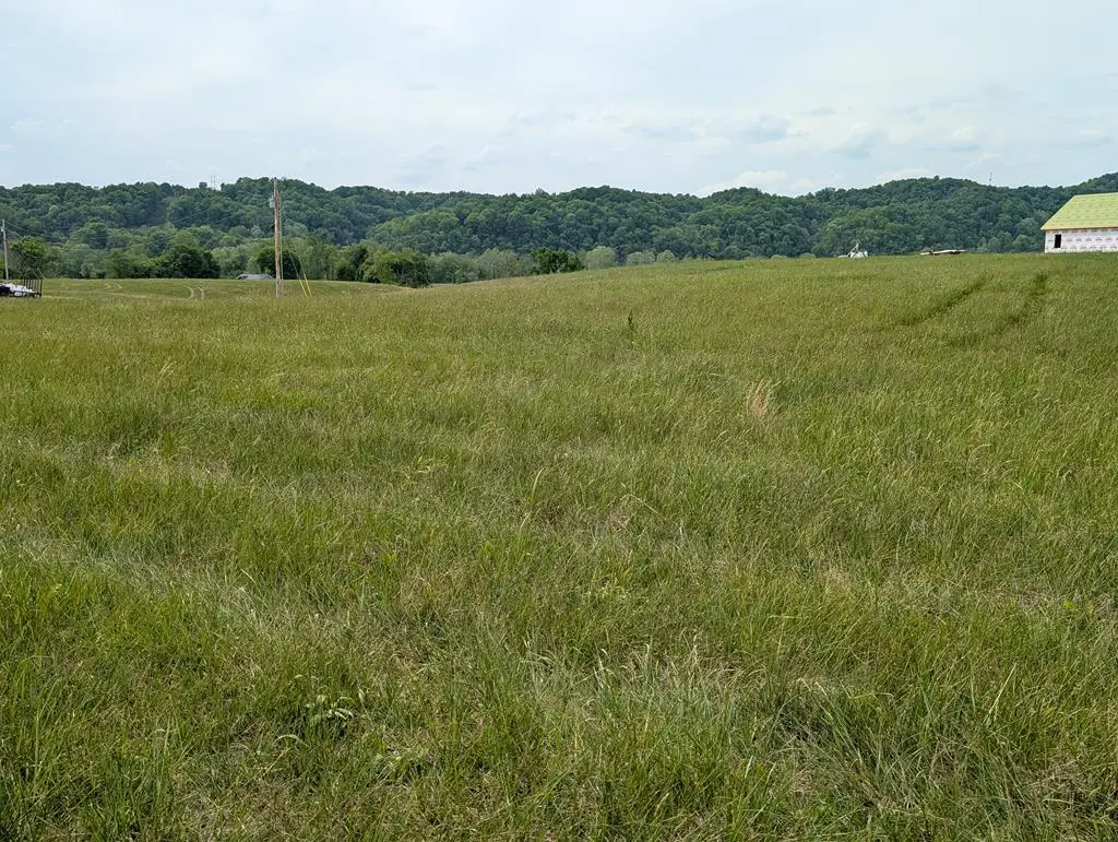 2 Rivertown Rd, Burkesville, KY 42717 - #1