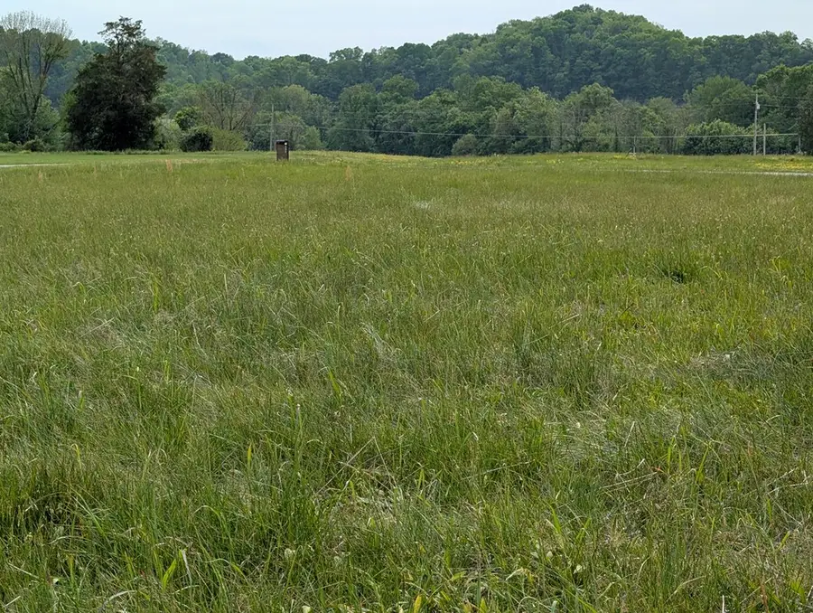 2 Rivertown Rd, Burkesville, KY 42717 - #2