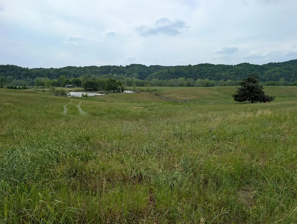 10 Rivertown Rd, Kettle Peytonsburg, KY 4271 - #1