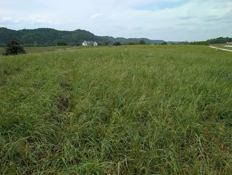 10 Rivertown Rd, Kettle Peytonsburg, KY 4271 - #2