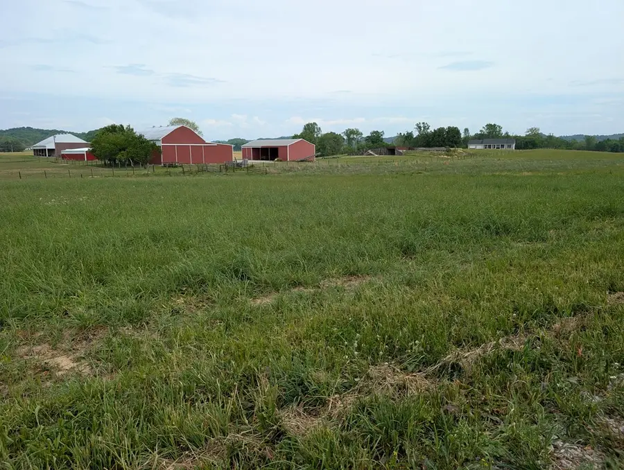 11 Rivertown Rd, Burkesville, KY 42717 - #2