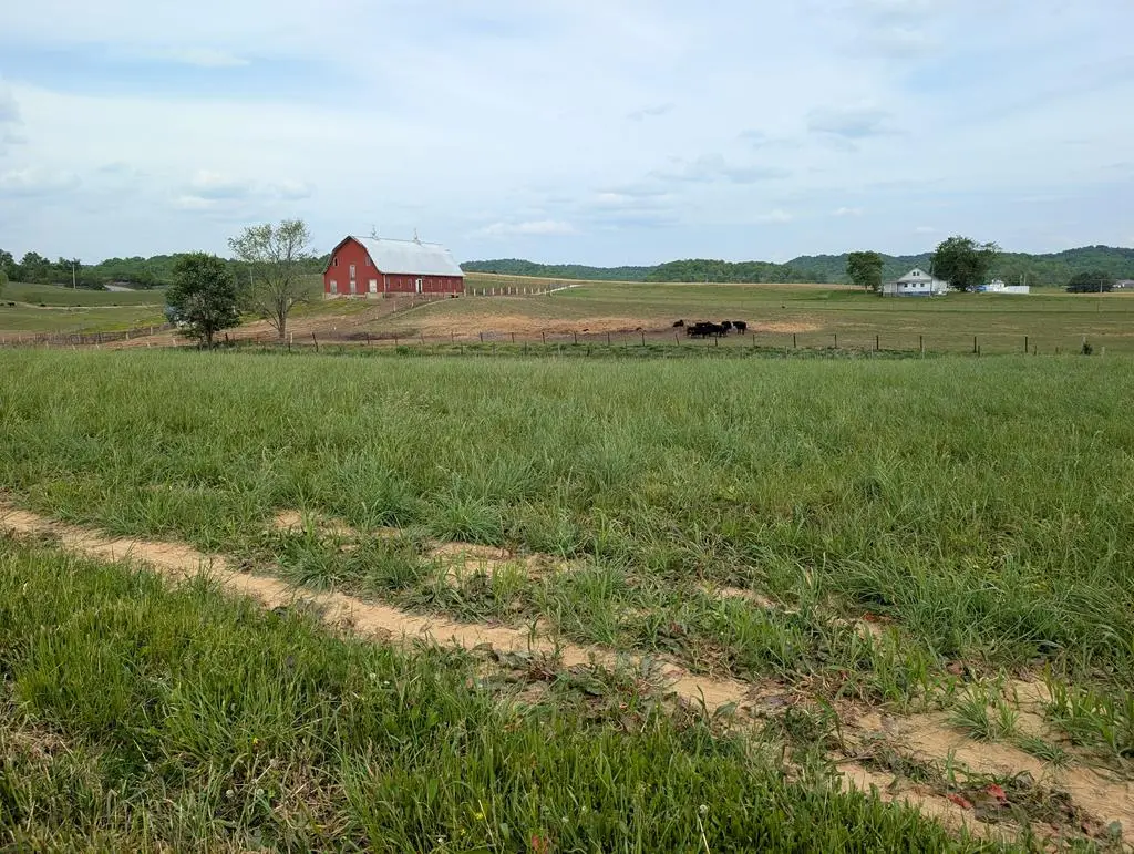 13 Rivertown Rd, Burkesville, KY 42717 - #1