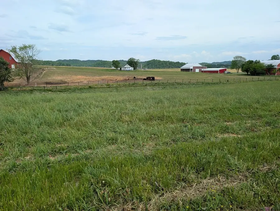 13 Rivertown Rd, Burkesville, KY 42717 - #2