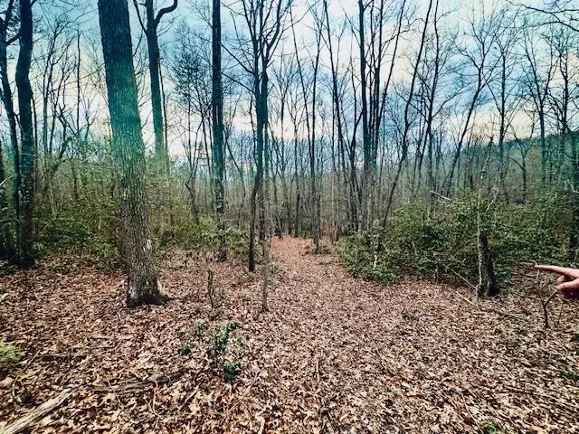 00 Milo Webb Drive, Crossville, TN 38572 - #1