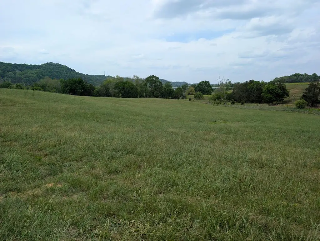 15 Rivertown Rd, Burkesville, KY 42717 - #1