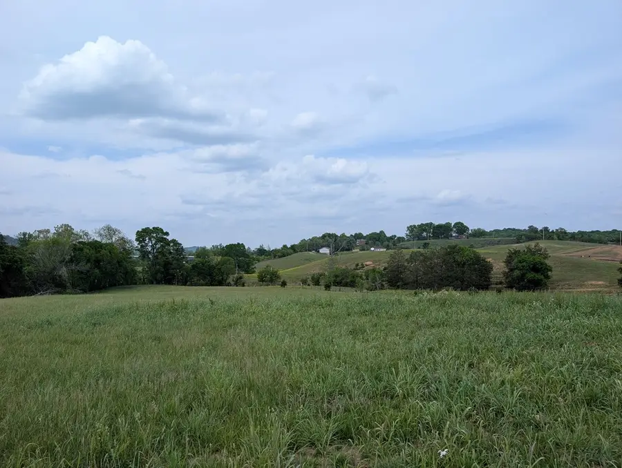 15 Rivertown Rd, Burkesville, KY 42717 - #2