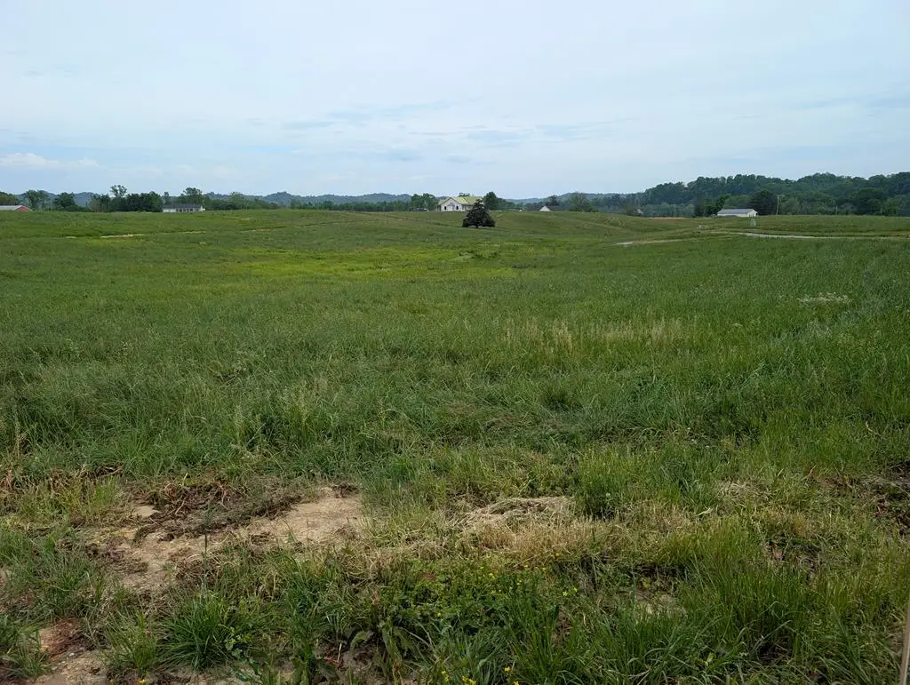 16 Rivertown Rd, Burkesville, KY 42717 - #1